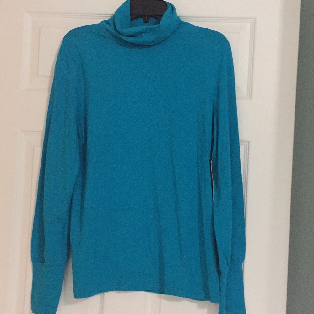 NWT Turqoise turtle neck